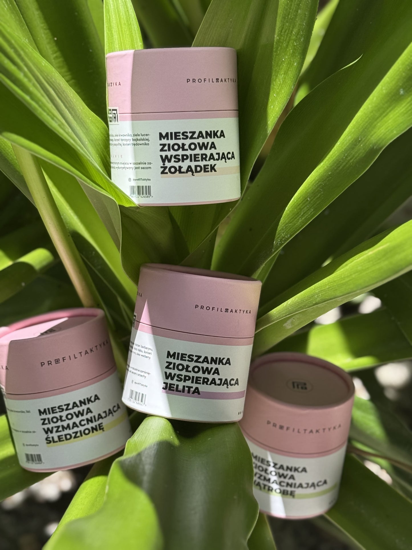 Mieszanka ziołowa jelita 60g